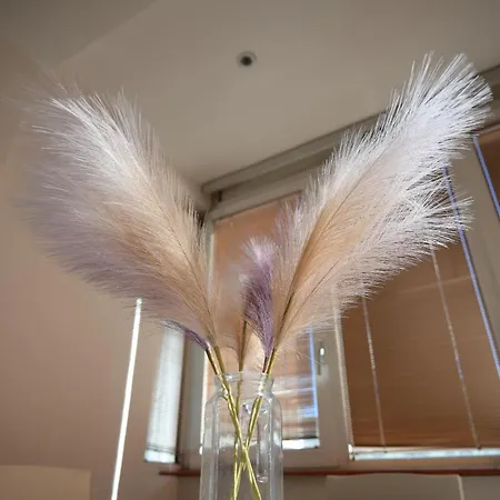 Centre Comfort - Free Parking Скопье